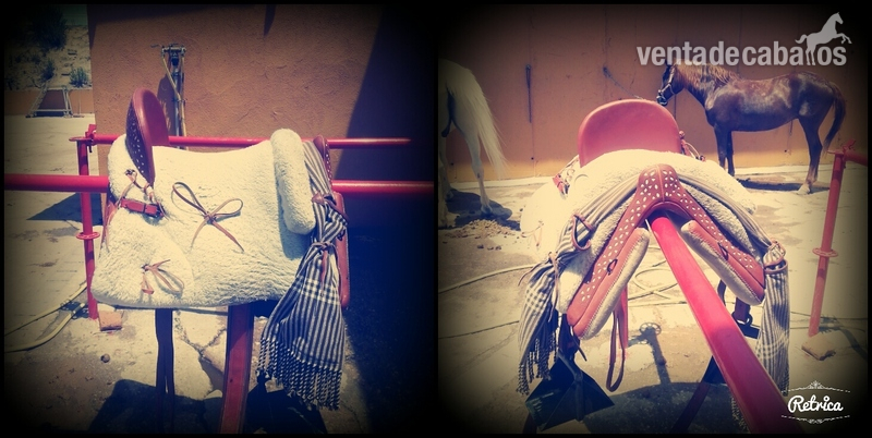 silla inglesa y vaquera