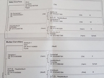 Potro Westfaliano puro de 26 meses.
