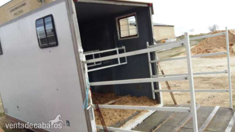 Caja ganadera  - Transportes de caballos in 