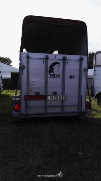 Van 2 caaballos cheval liberte in 