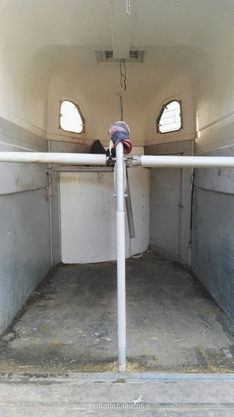 Van 2 caaballos cheval liberte - Remolques de caballos in 