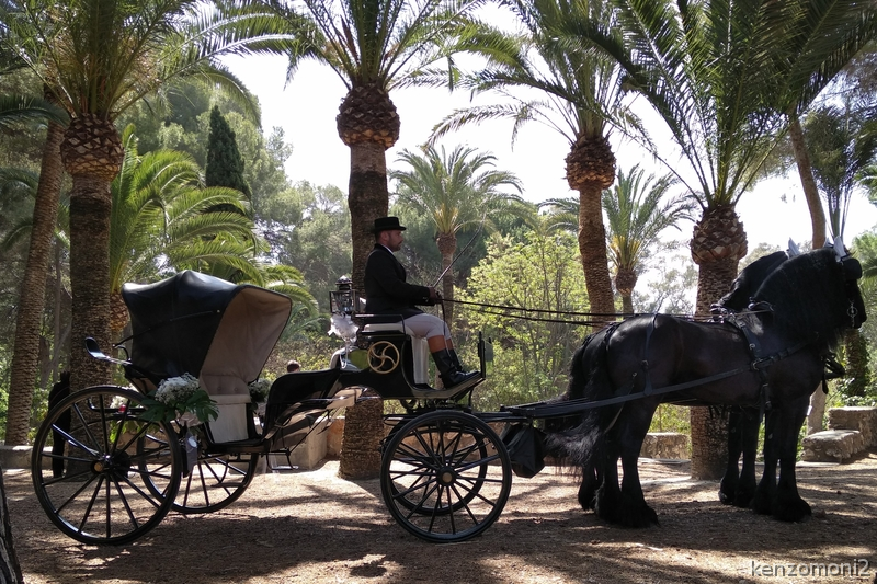 Carruaje para eventos in 