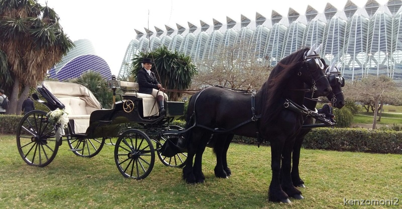 Carruaje para eventos - Frison