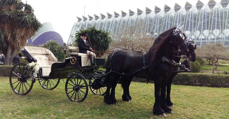 Carruaje para eventos - Frison