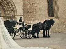 Carruaje para eventos