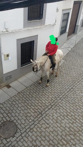 Hispano-Arabe