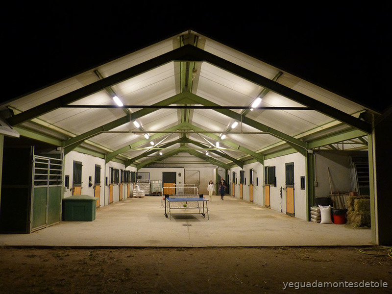 Complejo Hípico de 3 hectáreas en Ajofrín Toledo - Finca ecuestre