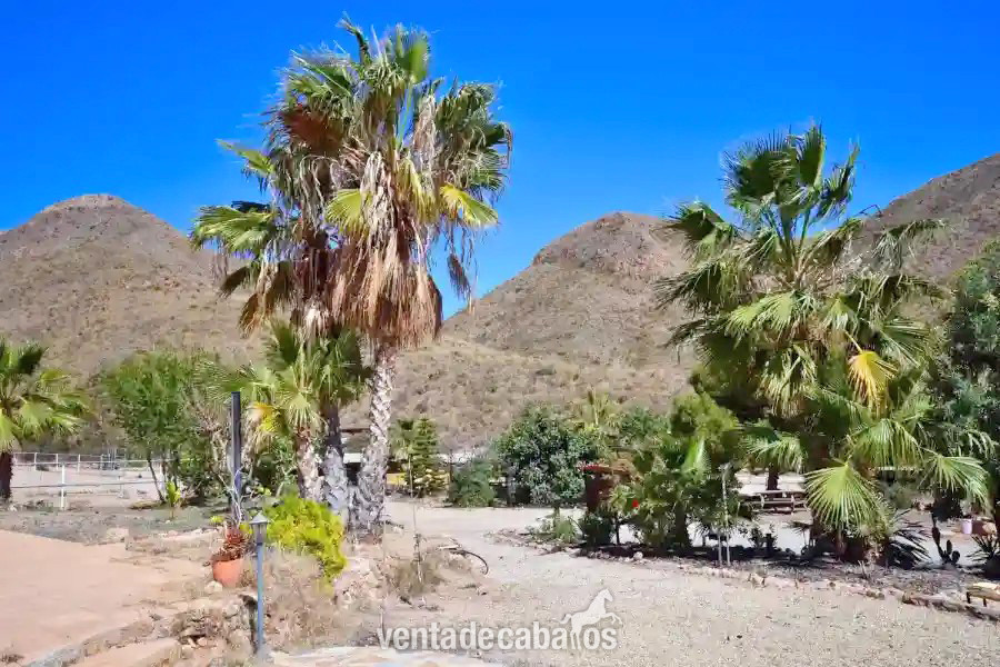 Murcia, Aguilas - Finca con casa de invitados y cuadra en venta