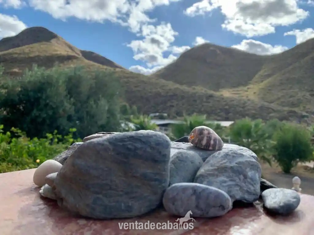 Los Arejos Murcia, Aguilas - Finca con casa de invitados y cuadra en venta