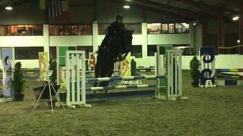 Caballo de salto