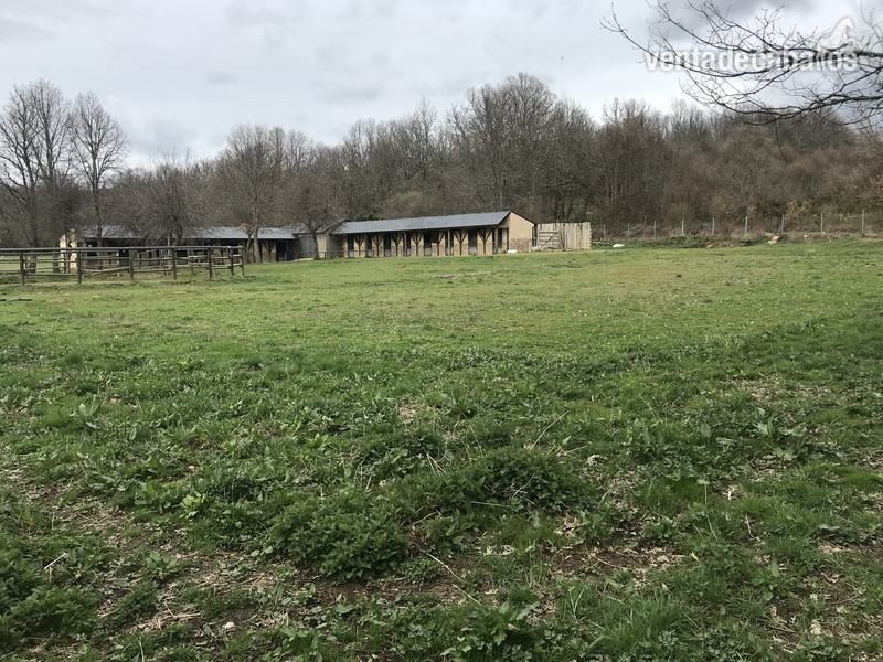 FINCA CON HIPICA 16 BOXES