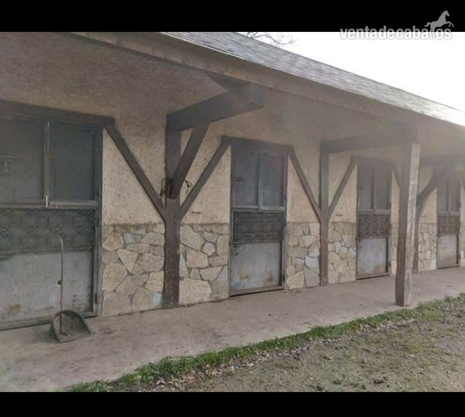 TREFACIO DE SANABRIA FINCA CON HIPICA 16 BOXES