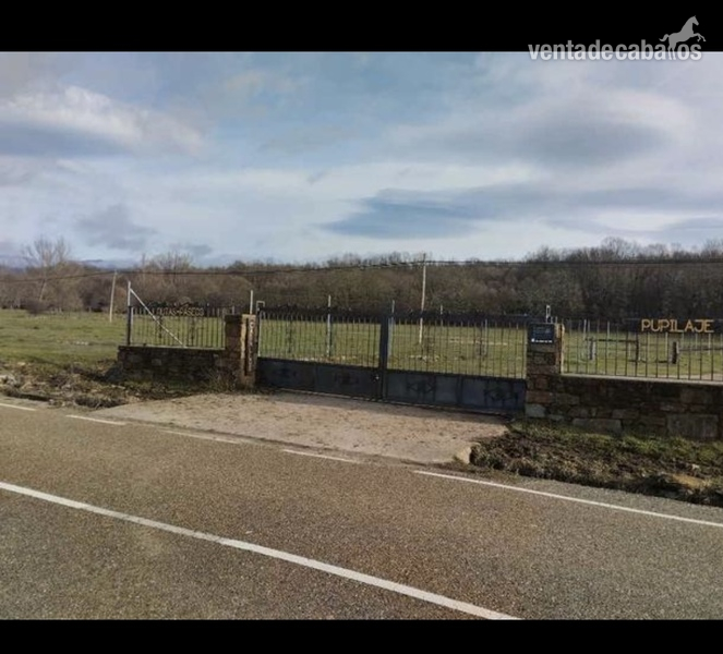Hípicas y establos en venta - FINCA CON HIPICA 16 BOXES in TREFACIO DE SANABRIA