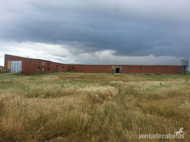alquilo instalaciones hipicas