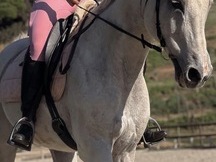 OFREZCO media cesión de mi caballo