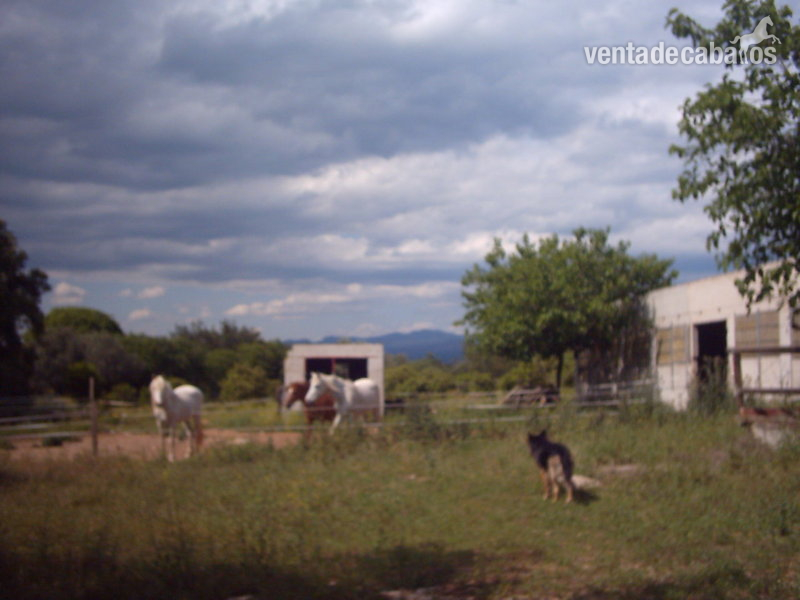 2ha finca con granja cerca delta del ebro in sta. bárbara