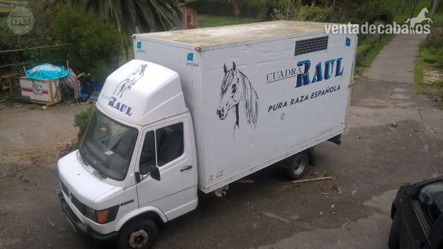 se vende camión mercedes 410D para transporte de dos caballos in 