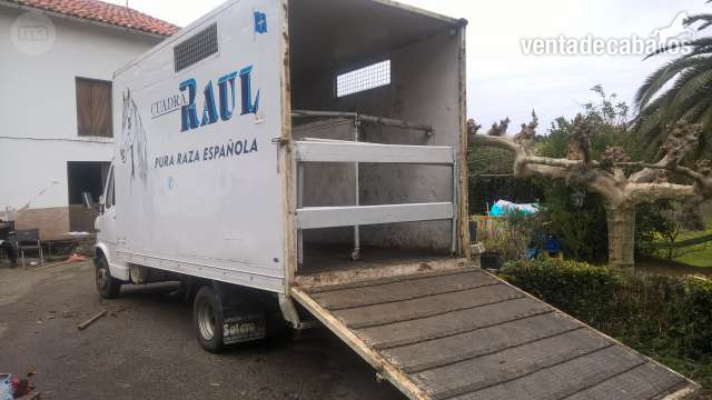 se vende camión mercedes 410D para transporte de dos caballos - Transportes de caballos