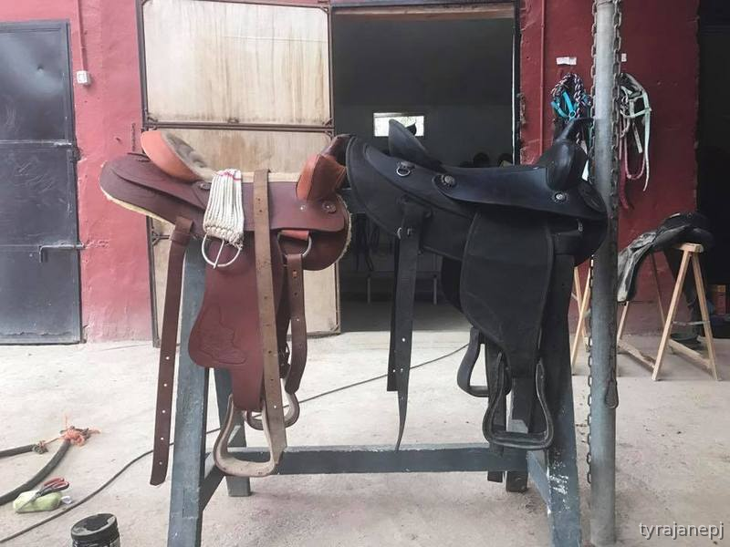 Lote de sillas de montar in 