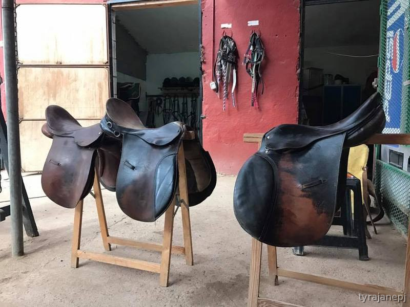 Lote de sillas de montar
