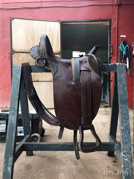  Lote de sillas de montar