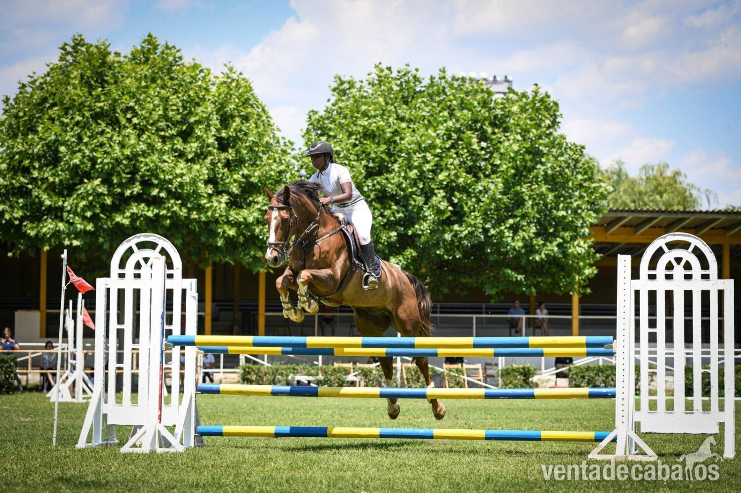 En venta caballo in 
