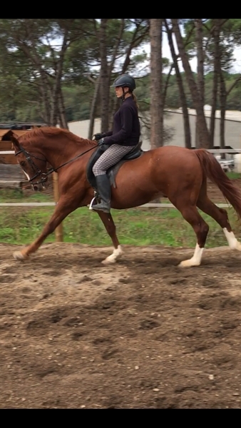 Cruzado {TYPE}