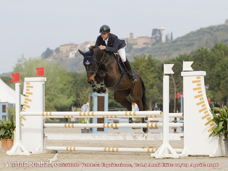 SELLA ITALIANO {TYPE}