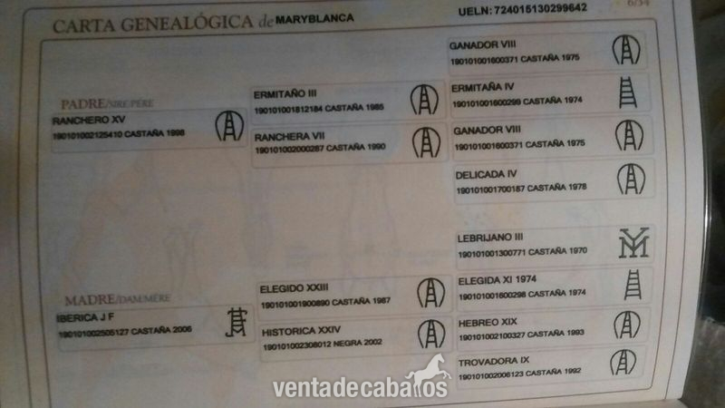 Pura Raza Española