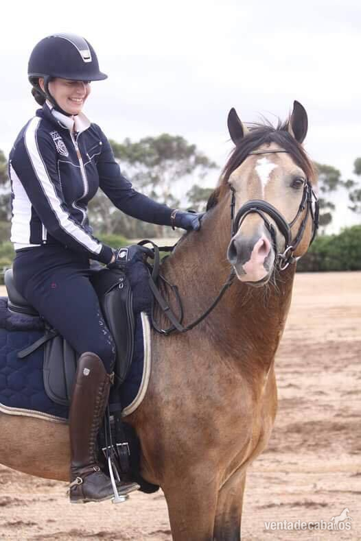 hanoverian {TYPE}