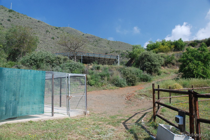 Finca ecuestre - Finca ecuestre Limonar a 8 min. de Málaga Centro historico in Málaga