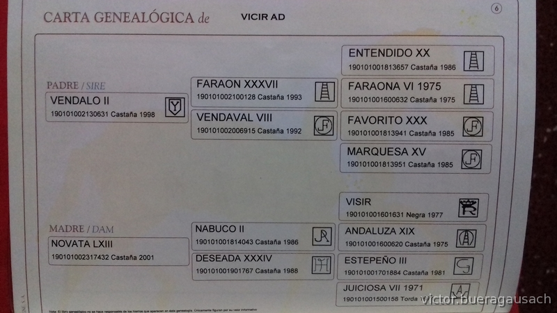 Pura Raza Española
