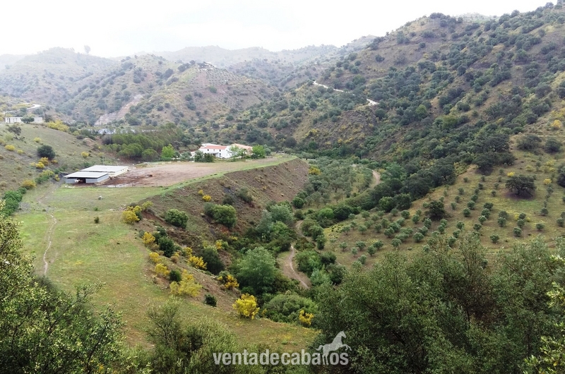 Finca Rural y Establos in Cartama Estación ( Málaga)