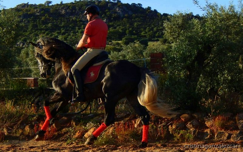 PRE LINEA NOBLEZA DEL GUADIANA in 
