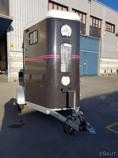 VAN MARCA FAUTRANS PARA 2 CABALLOS 
