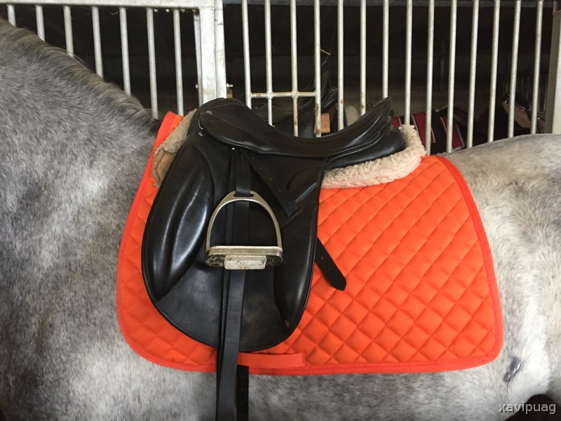 ZALDI GRAND PRIX  in 