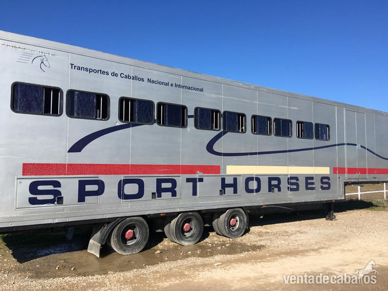 REMOLQUE - CAJA TRANSPORTE CABALLOS in 