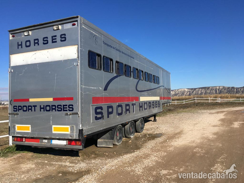  REMOLQUE - CAJA TRANSPORTE CABALLOS