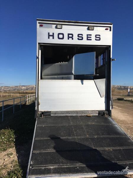 REMOLQUE - CAJA TRANSPORTE CABALLOS - Remolques de caballos in 