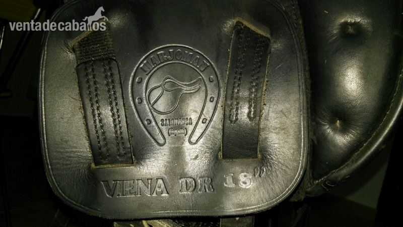  Montura de doma clasica Marjoman Viena