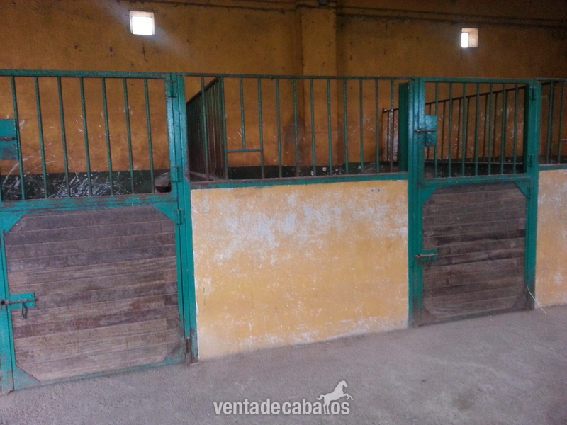 vendo finca ecuestre y casa - Finca ecuestre in La Zarza (Valladolid)