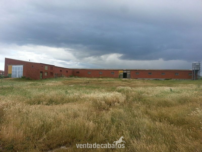 vendo finca ecuestre y casa - Finca ecuestre