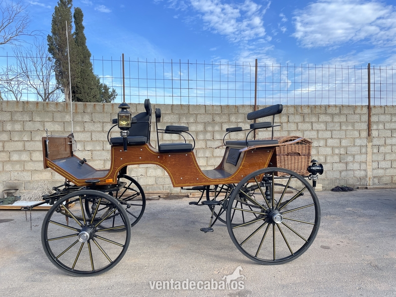 Se venden 4 coches de caballos - Carruajes y Enganches in 