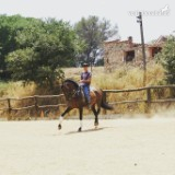 VELORTO PURA RAZA ESPAÑOLA in 