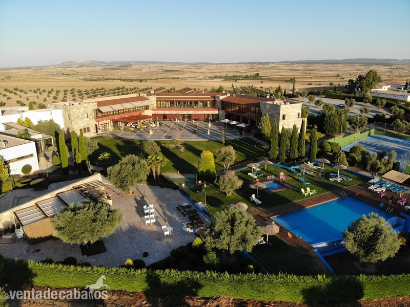 Magnífica Finca con Hípica y Alojamiento Turístico. Hotel 4 estrellas. in Nambroca