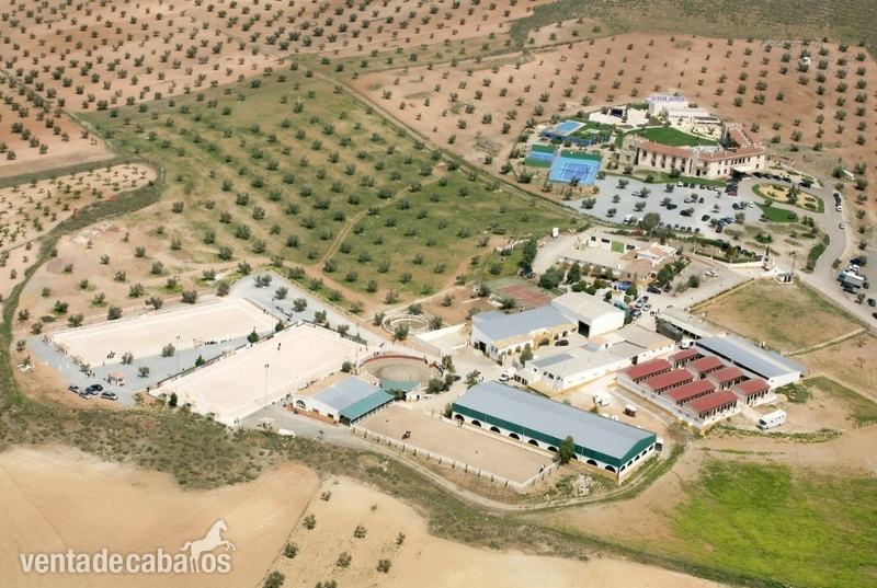 Nambroca Magnífica Finca con Hípica y Alojamiento Turístico. Hotel 4 estrellas.