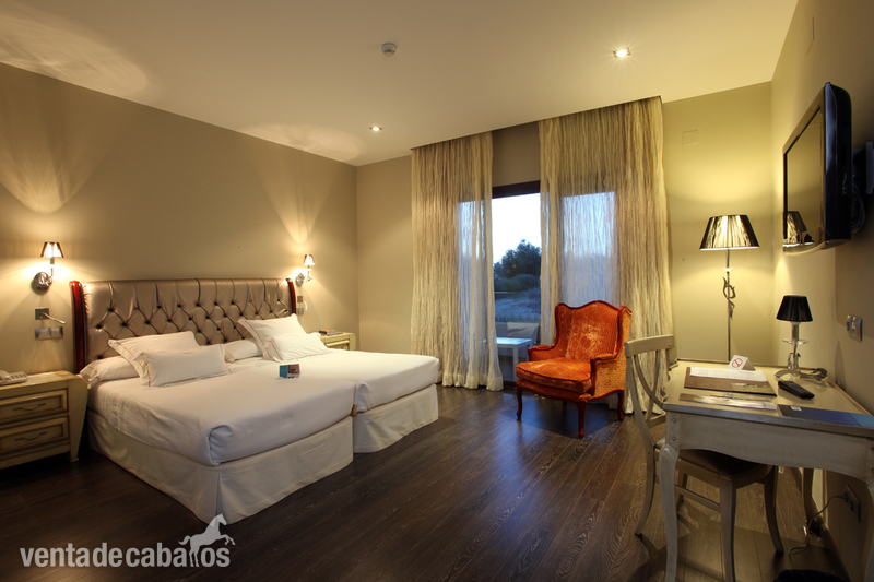 Magnífica Finca con Hípica y Alojamiento Turístico. Hotel 4 estrellas. - Finca ecuestre in Nambroca