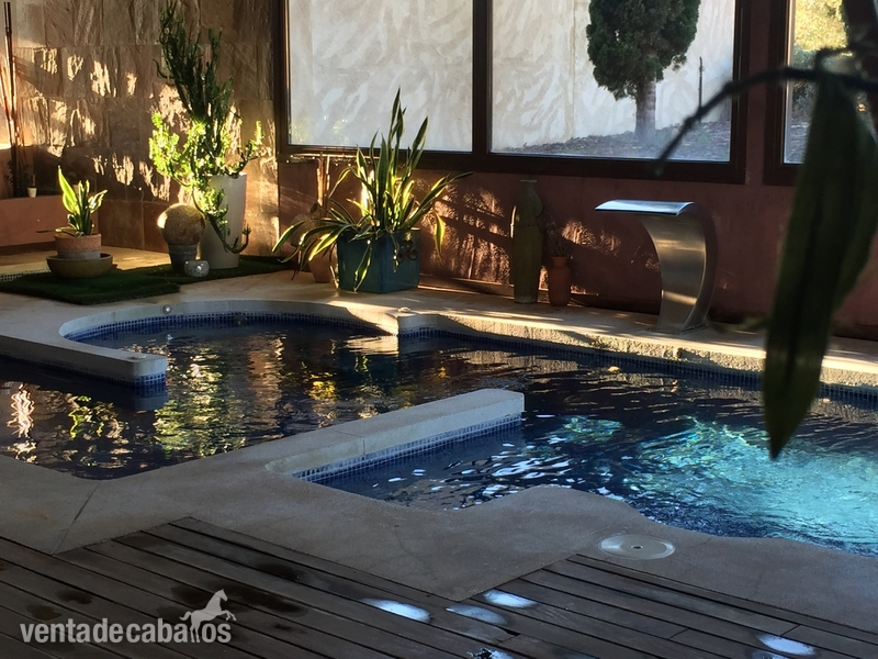 Magnífica Finca con Hípica y Alojamiento Turístico. Hotel 4 estrellas. - Finca ecuestre