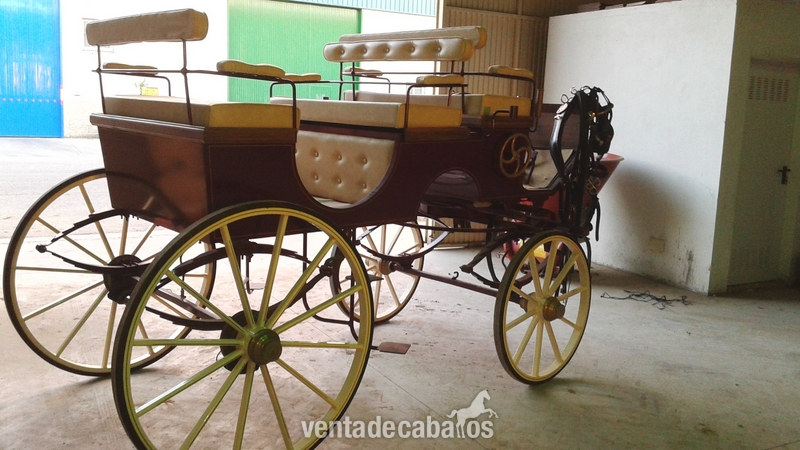 SE VENDE FAETON in 