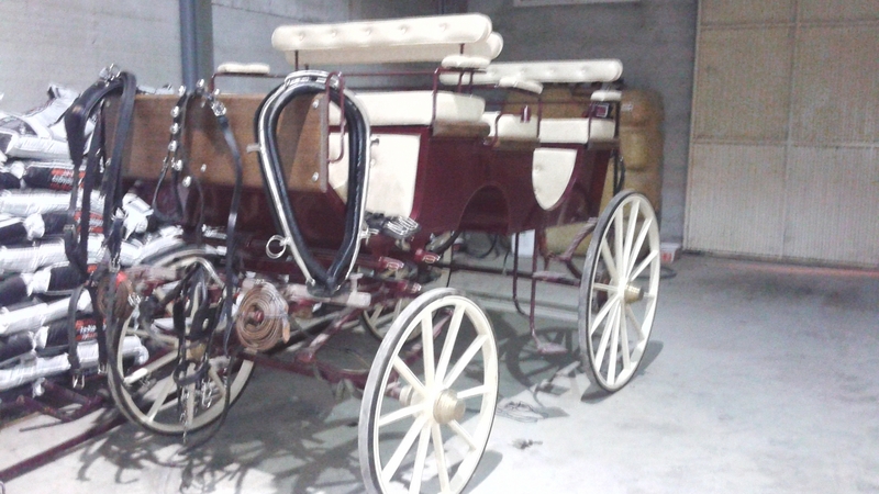 SE VENDE FAETON - Carruajes y Enganches in 